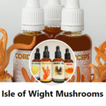 Isle of Wight Mushrooms logo