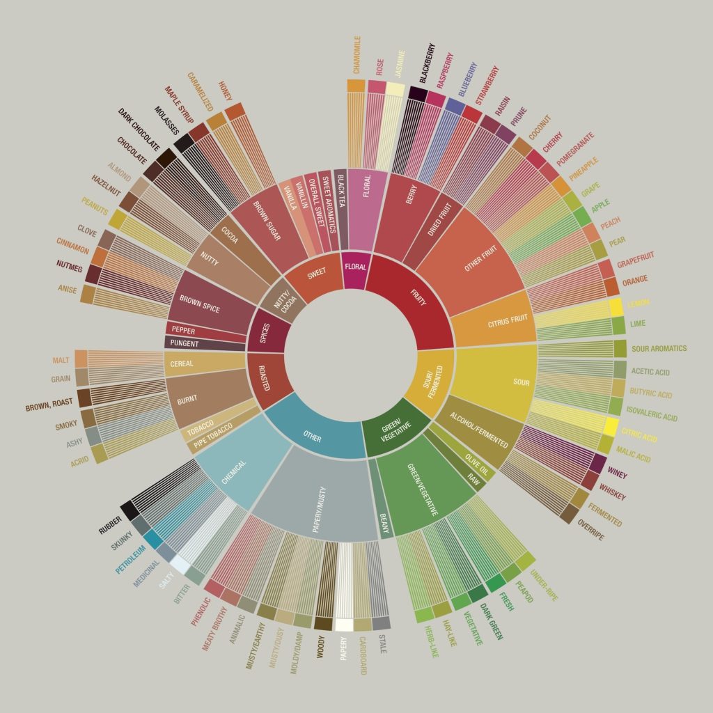coffee-flavour-wheel-diagram
