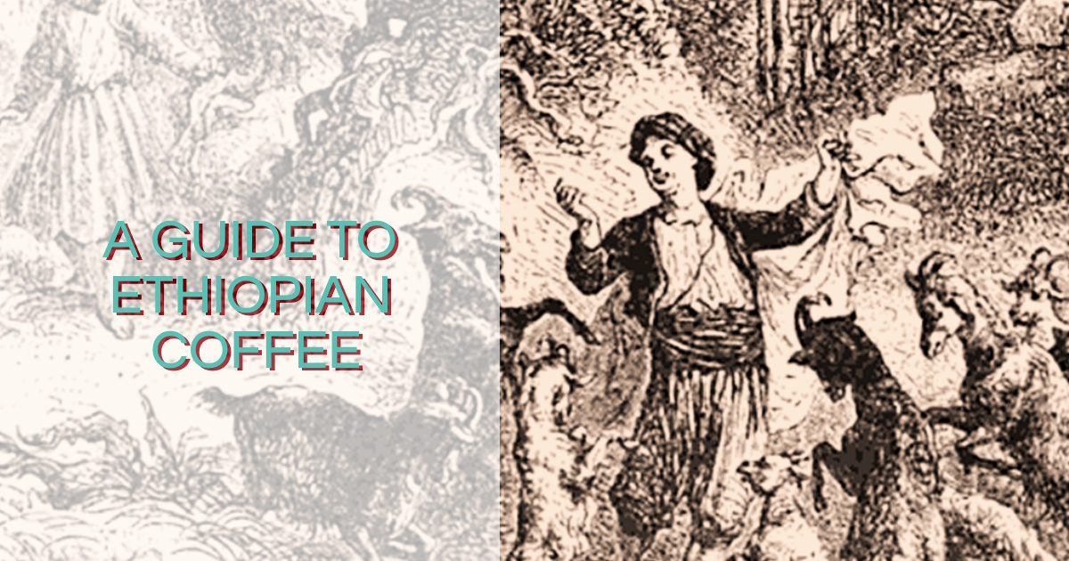A Guide to Ethiopian Coffee